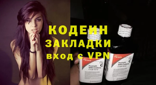 крисы Богородицк