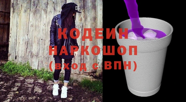 крисы Богородицк