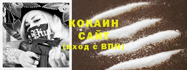 прущие крисы Белокуриха