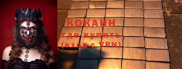 крисы Богородицк