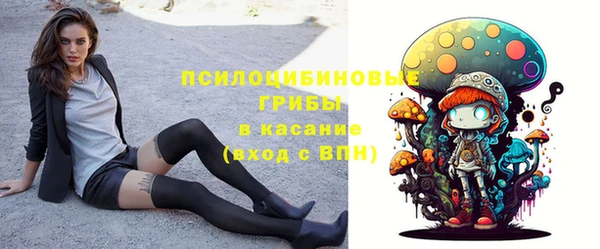 spice Беломорск