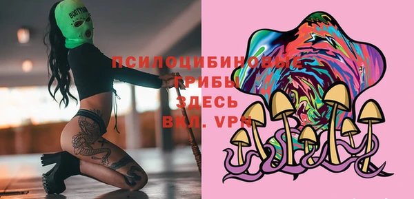spice Беломорск
