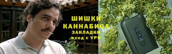 прущие крисы Белокуриха