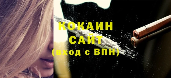 гашик Бронницы